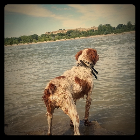 Meet your Posher, Crm - Picture 1 of 1